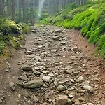 Фермерский дом Goszowianka