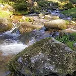 Фермерский дом Goszowianka *