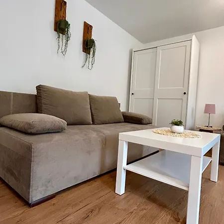 مزرعة للإقامة Goszowianka *