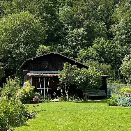 Goszowianka *
