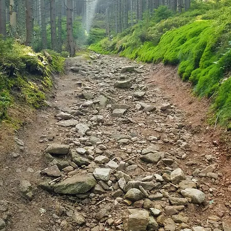 مزرعة للإقامة Goszowianka