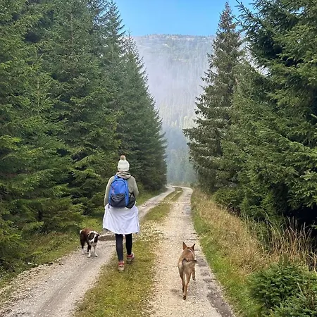 Goszowianka مزرعة للإقامة Stronie Śląskie