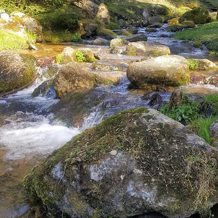 Alojamento de Turismo Rural Goszowianka *