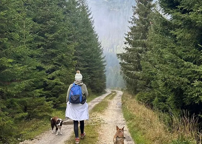 Goszowianka Farma Stronie Śląskie
